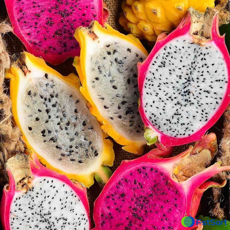images/1670573058380dragon fruit sorting line.jpg